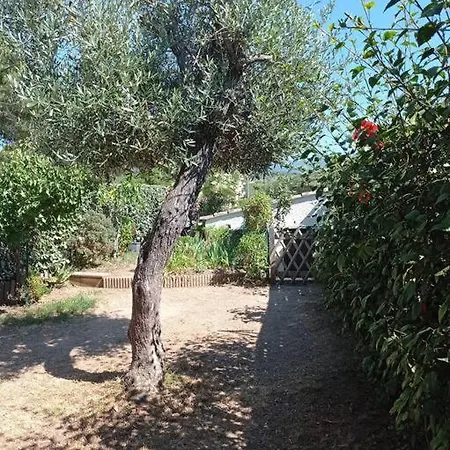 Maison De Vacances Agosta Porticcio 8p 200m De La Plage Prázdninový dům